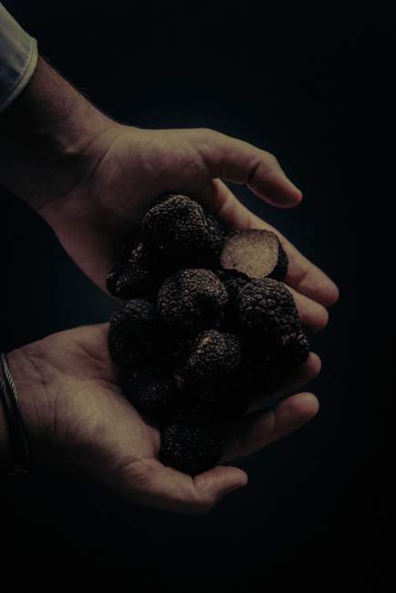 La Quintessence · Restaurant gastronomique Lyon 1 · Plat